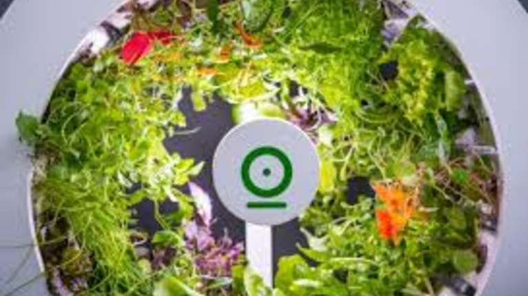 OGarden Smart: Ο λαχανόκηπος μετακόμισε στην κουζίνα