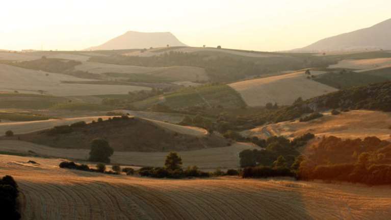 Ανοίγει την Τετάρτη το Κεντρικό Γραφείο Κτηματογράφησης