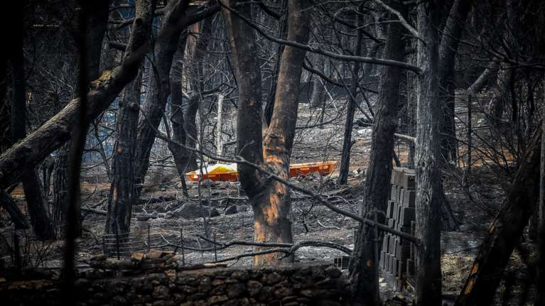 Λέκκας: Στο Μάτι υπήρξε συνολική αποτυχία της κοινωνίας