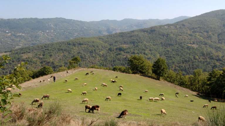 Καλλιάνος: Η άνοιξη επιστρέφει για 5 ημέρες