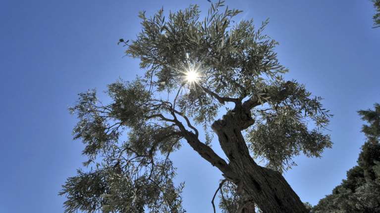 Αίθριος καιρός με θερμοκρασίες ως 19 βαθμούς