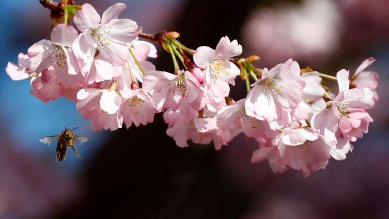 Ο καιρός της εβδομάδας σε όλη τη χώρα