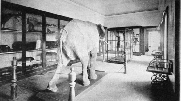 Κοσμήματα της παγκόσμιας κληρονομιάς που καταστράφηκαν από πυρκαγιές