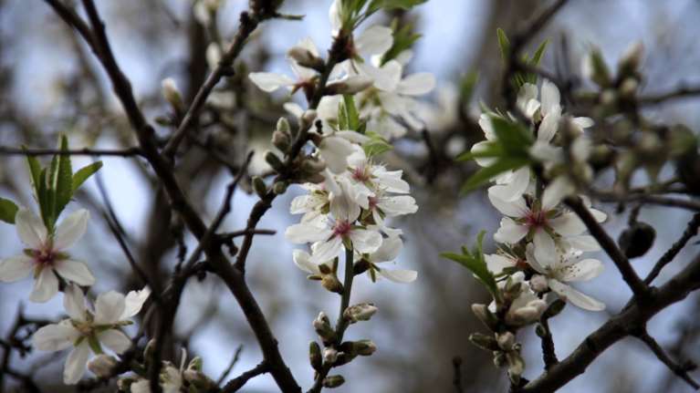 Μεγάλη Παρασκευή με έντονη σκόνη και υψηλές θερμοκρασίες