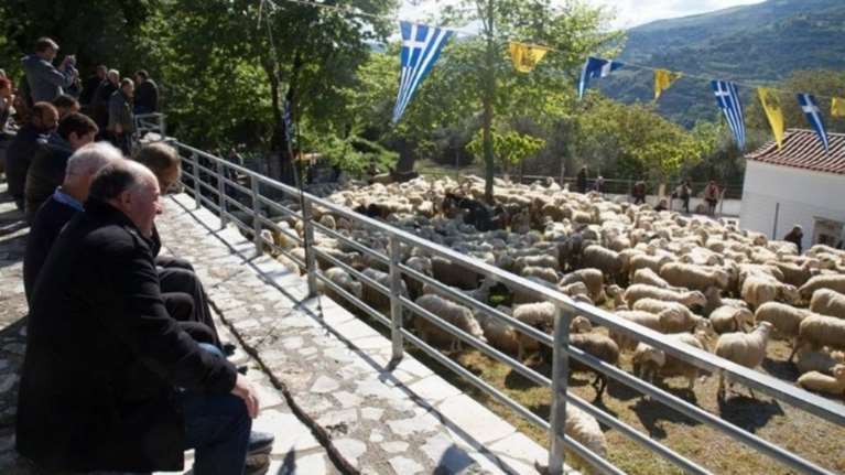 Η ευλογία των προβάτων στην Ασή Γωνιά του δήμου Αποκορώνου