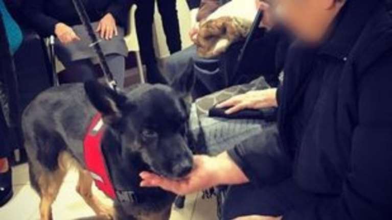 Ανάπηρος σκύλος έσωσε νεογέννητο που το έθαψαν ζωντανό σε χωράφι