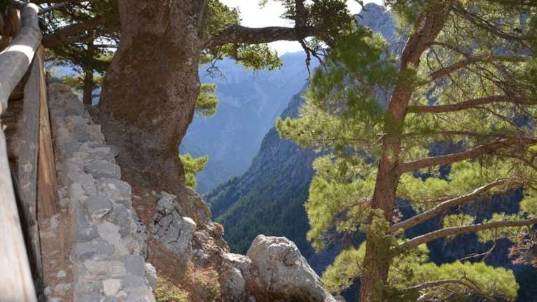 Νεκρός τουρίστας στο φαράγγι της Σαμαριάς- Μπροστά στα μάτια της συζύγου