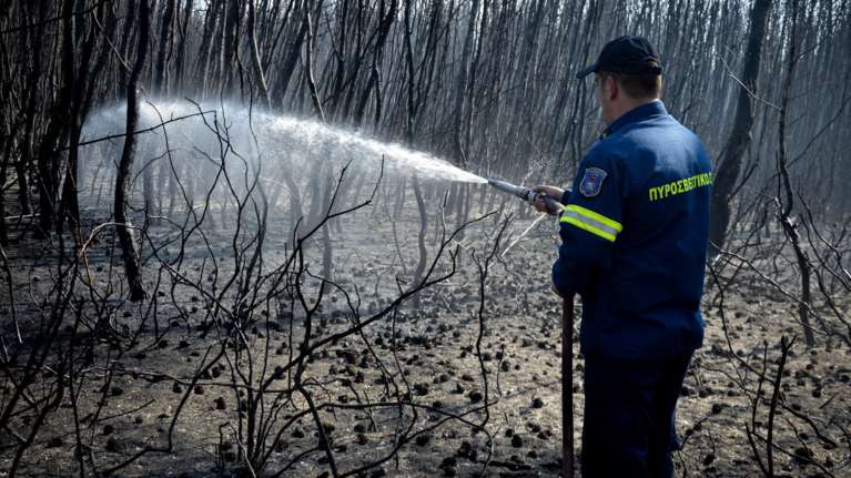 Συνελήφθη 23χρονος για τη φωτιά στην Αχαΐα