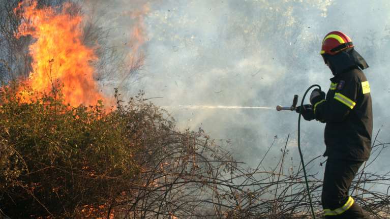 Σε εξέλιξη δασική πυρκαγιά στα Μέγαρα - Ισχυρές δυνάμεις