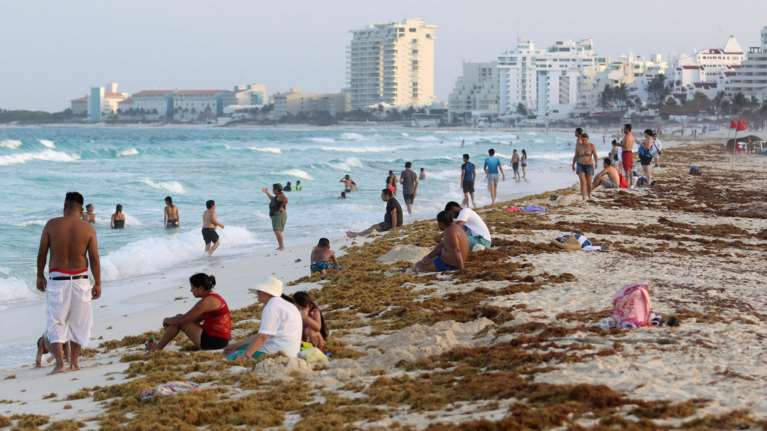 Τεράστιο νησί από φύκια στον Ατλαντικό και την Καραϊβική