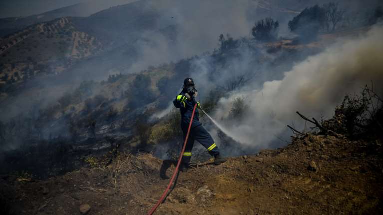 Φωτιά στην περιοχή Σέκουλα Ηλείας