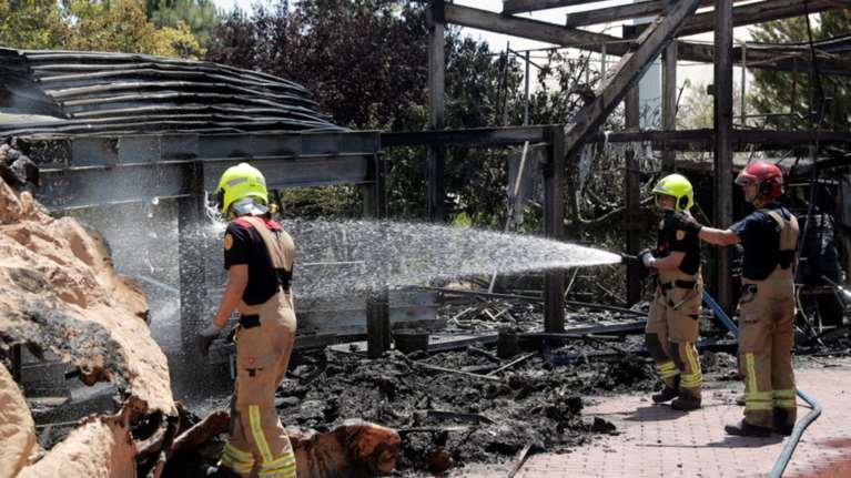 Φωτιά στο Oceanogràfic, το μεγαλύτερο ενυδρείο της Ευρώπης (Βίντεο)