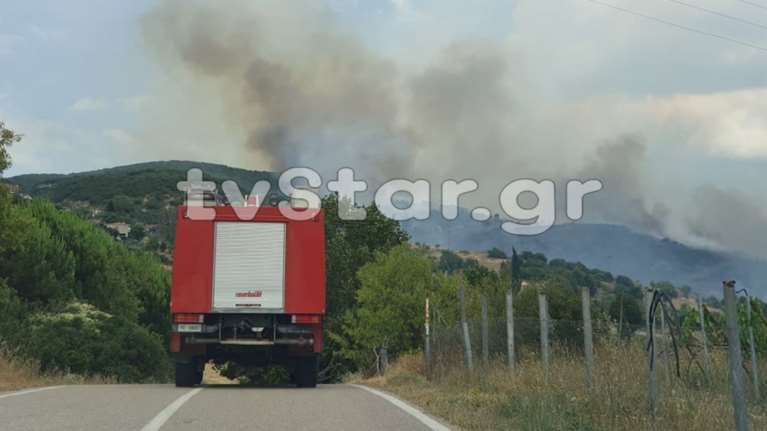 Φωτιές στη ΦΘιώτιδα:  Στη Δίβρη το μεγάλο μέτωπο