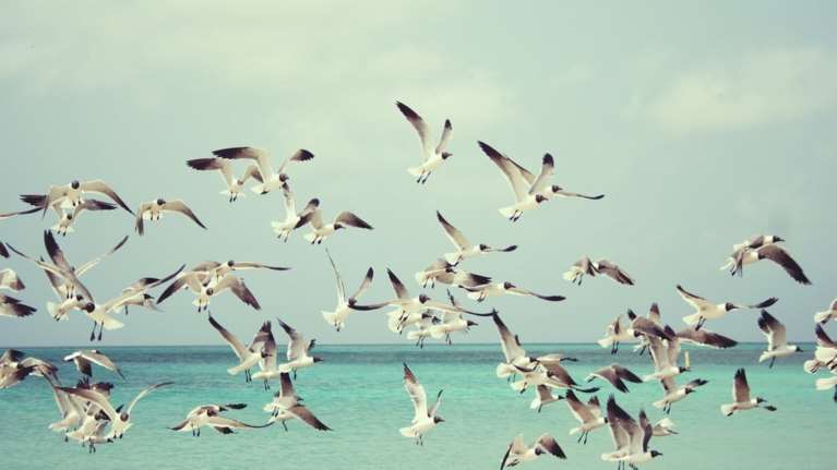 Καιρός: Η πρόγνωση για τη Δευτέρα