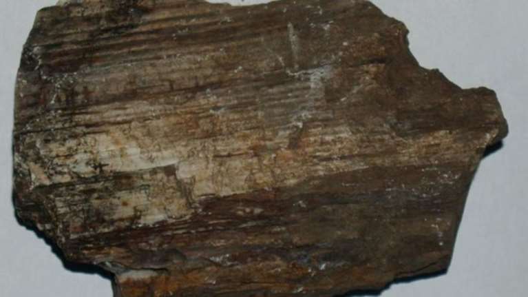 Aυτεπάγγελτη έρευνα για την κλοπή πετρωμάτων στη Λέσβο