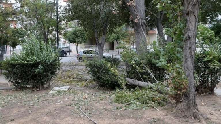 Μαζικές κοπές δέντρων μετά την κακοκαιρία στη Χαλκιδική
