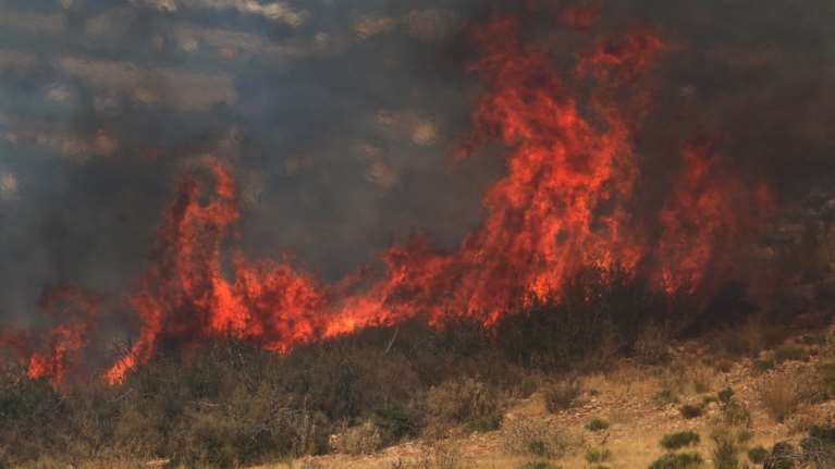 Πυρκαγιά σε δασική έκταση στη Σκεπαστή Ευβοίας