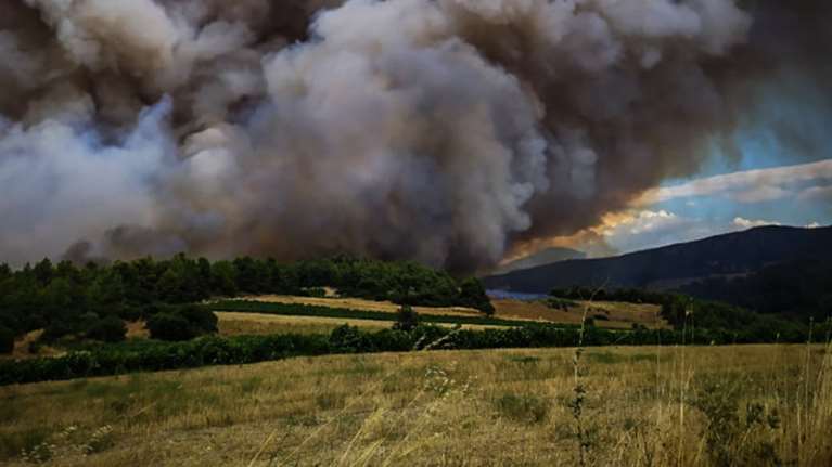 Τανάγρα: Ολονύχτια επιχείρηση για τον έλεγχο της φωτιάς