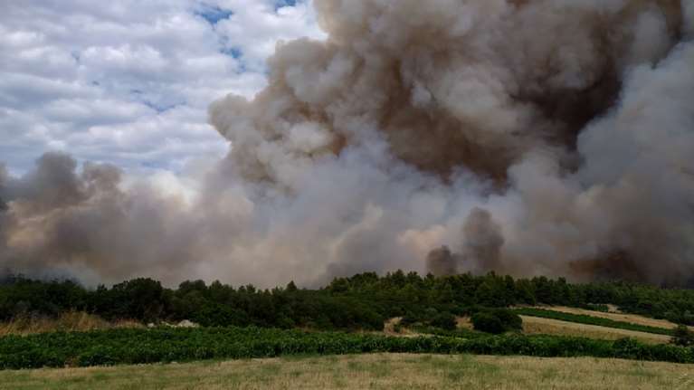Οριοθετημένη και σε ύφεση η φωτιά στην Τανάγρα