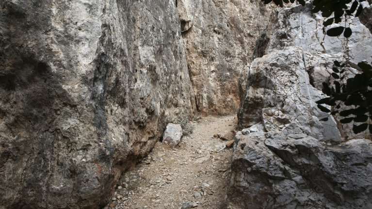 Έγκλημα Φιλοπάππου: Ισόβια στους δράστες της δολοφονίας