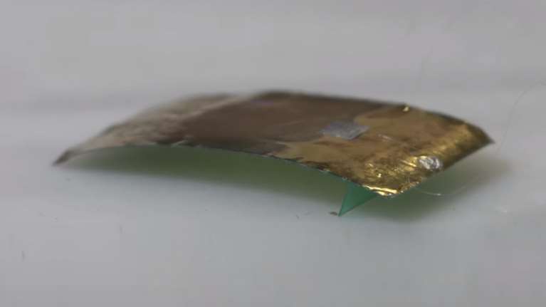 Νέος εφιάλτης: Ρομπότ - κατσαρίδα που αντέχει στο ...πάτημα