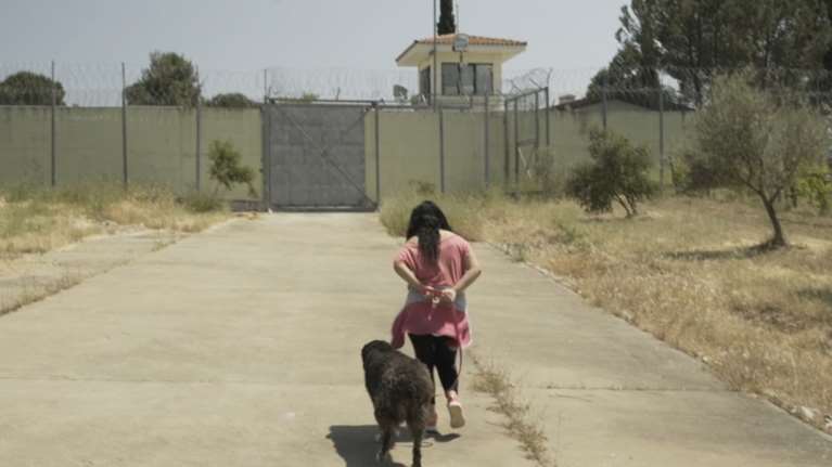 Πρόγραμμα-Σταθμός: Κρατούμενες εκπαιδεύουν αδέσποτα στη Θήβα