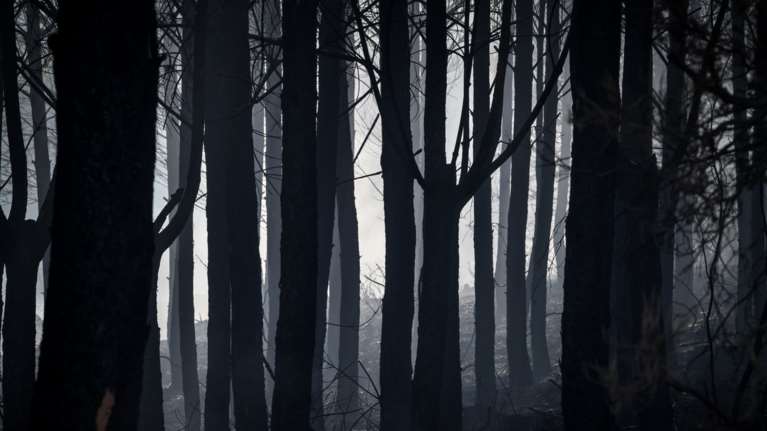 Πολύ υψηλός κίνδυνος πυρκαγιάς στις Περιφέρειες Βορείου και Νοτίου Αιγαίου