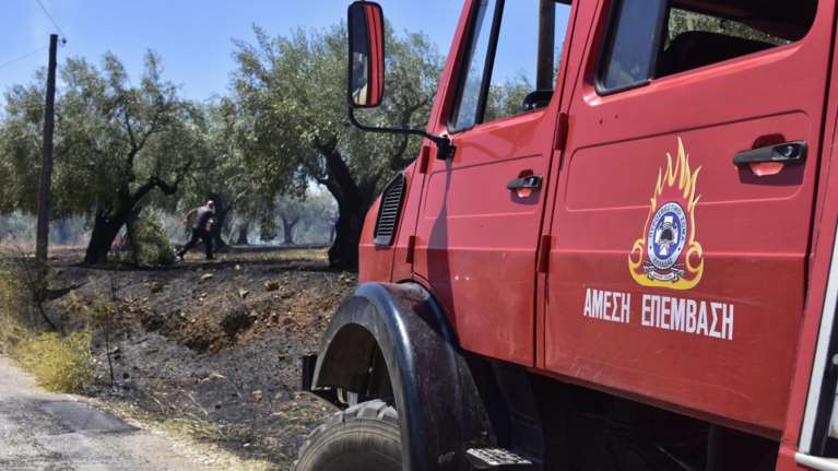 Φωτιά σε δάσος στην Παλαιομάνινα Αιτωλοακαρνανίας