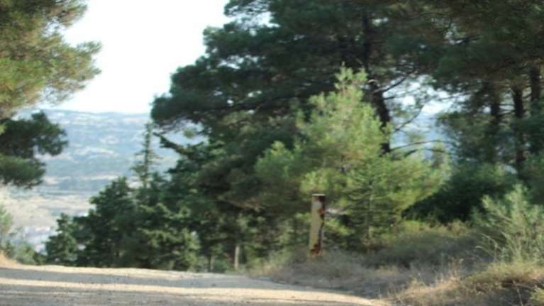 Απαγόρευση κυκλοφορίας από σήμερα μέχρι την Τρίτη στο δάσος Σέιχ Σου