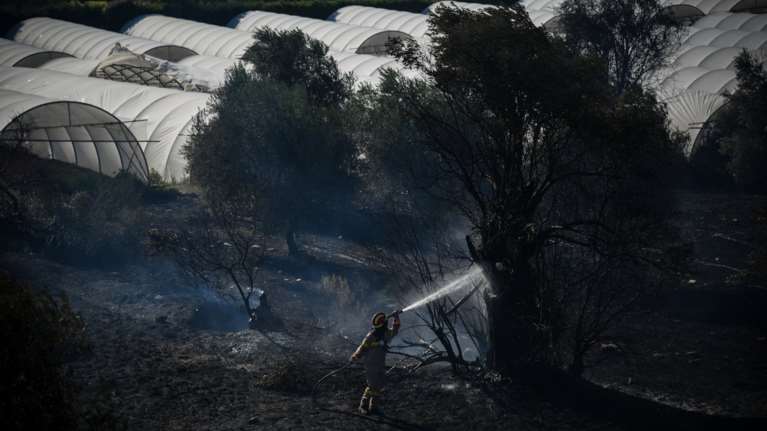 Συνεχίζουν να καίνε οι φωτιές σε Μαραθώνα και Ελαφόνησο