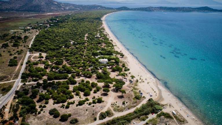 Απαγόρευση κυκλοφορίας την Τρίτη σε πευκοδάσος Σχινιά,Υμηττό, Ε.Δ.Σουνίου