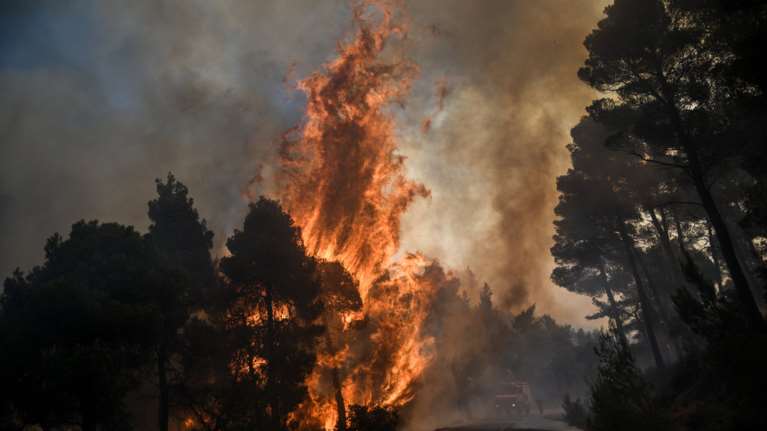Νέα πυρκαγιά στην Εύβοια: Στην περιοχή Καστανιώτισσα στην Ιστιαία
