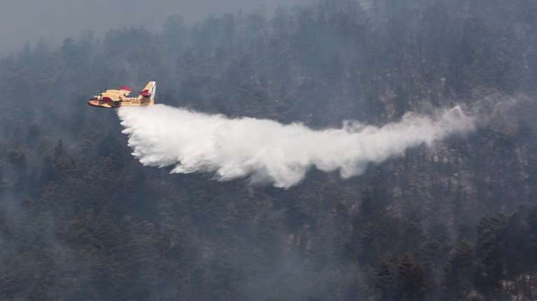 Εύβοια: Στα όρια του καταφυγίου άγριων ζώων -Σαφείς ενδείξεις για εμπρησμό