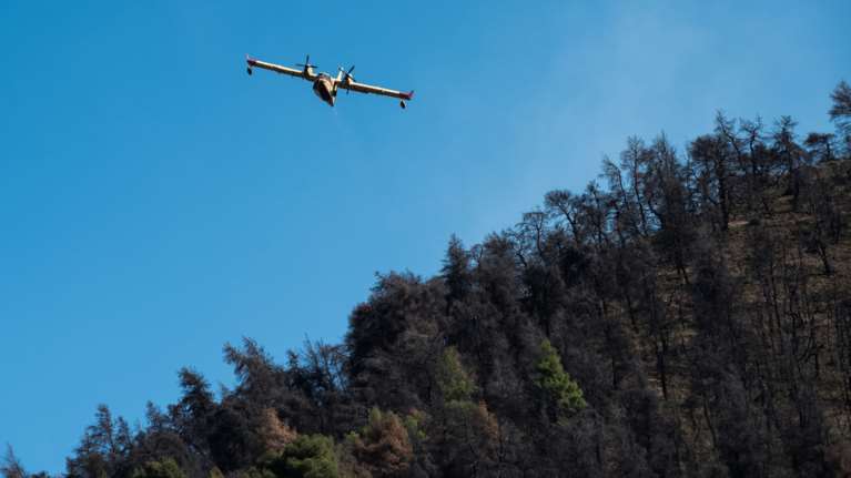 Υπό μερικό έλεγχο η φωτιά στις Ερυθρές της Μάνδρας