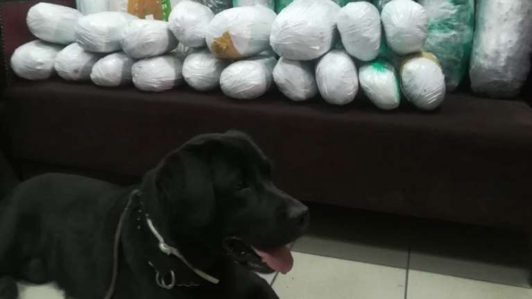 Θεσσαλονίκη:  Ο Άτλας βρήκε βρήκε 22 κιλά κάνναβης κρυμμένα σε κοντέινερ