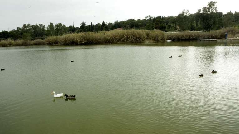 Χατζηδάκης: Μέσα στον Σεπτέμβρη λύση για το Πάρκο Τρίτση