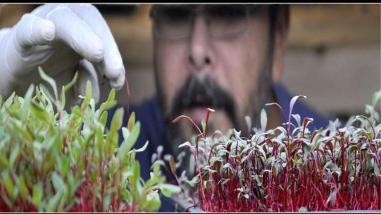 «Μικρός Καλλιεργητής»: Ο τραπεζικός που έγινε αγρότης