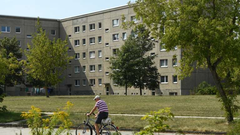 Γερμανία: Ψύχωση με δηλητηριώδη κόμπρα που αγνοείται από την Κυριακή