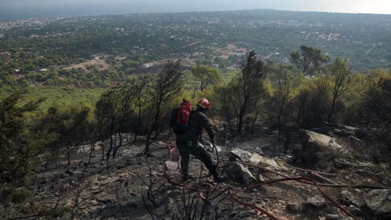 Σε ύφεση η φωτιά στη Νέα Μάκρη - Καταγγελίες για εμπρησμό