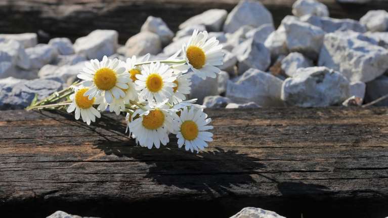 ΠΟΥ-έρευνα: Κάθε 40 δευτερόλεπτα ένας άνθρωπος θέτει τέρμα στη ζωή του