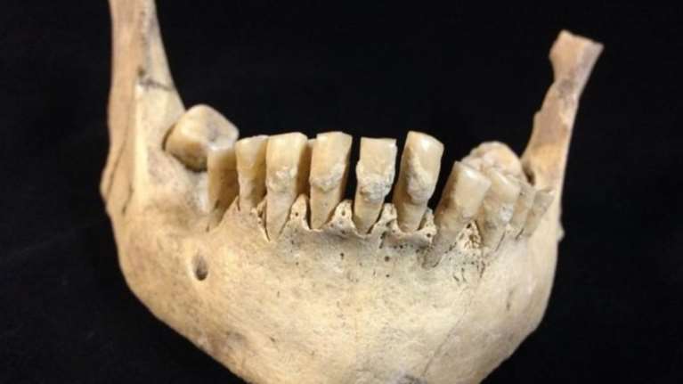 Ανακαλύφθηκαν ίχνη κατανάλωσης γάλακτος πριν 6.000 χρόνια