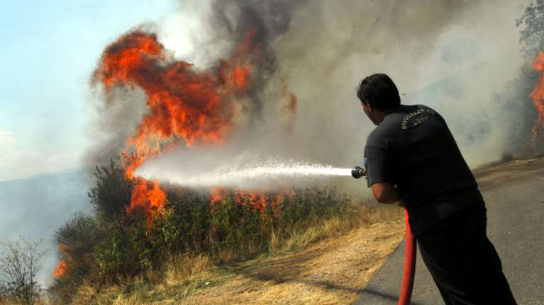 Μαγνησία: Φωτιά σε δασική έκταση στον Αλμυρό