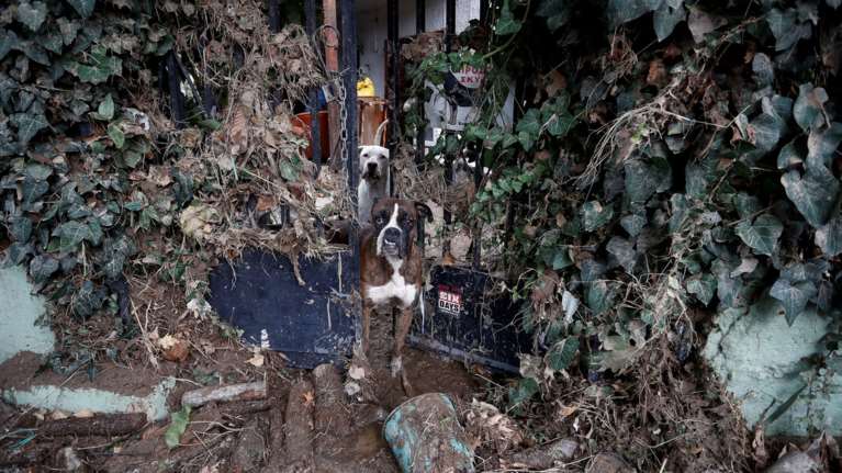 Τρίκαλα: Το χαλάζι κατέστρεψε καλλιέργειες χιλιάδων στρεμμάτων