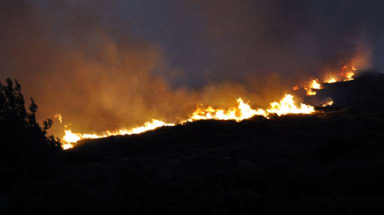Μάχη με τις φλόγες στο Αγιονόρι Κορινθίας