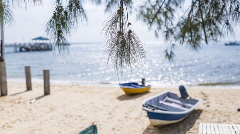 ΟΗΕ: Τα 5 τελευταία χρόνια τα θερμότερα που καταγράφηκαν ποτέ