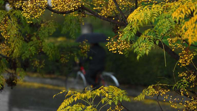 21 Σεπτεμβρίου: Ξεκινά επισήμως το φθινόπωρο την Τρίτη με τη φθινοπωρινή ισημερία