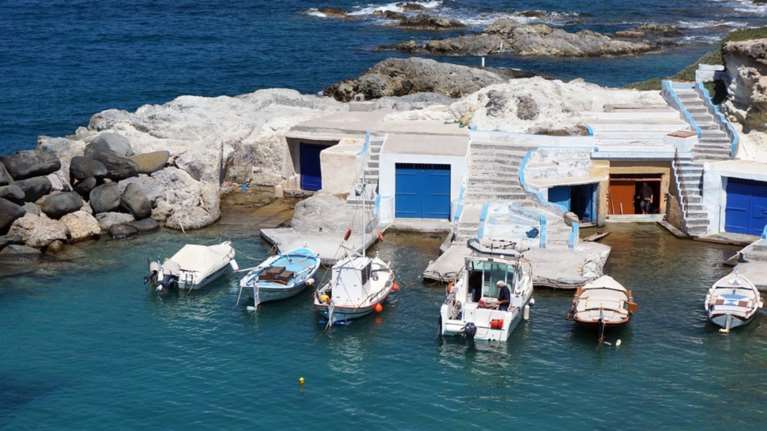 Ψαράδες αναλαμβάνουν τη διάσωση θαλασσών από την υπεραλίευση