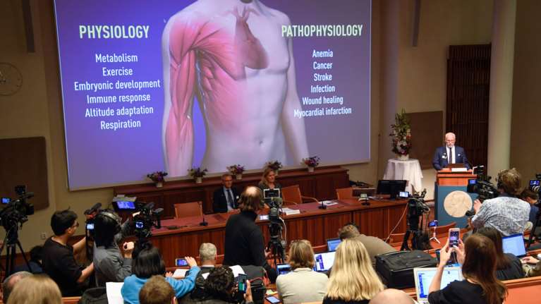 Οι νικητές του Βραβείου Νόμπελ Φυσιολογίας και Ιατρικής