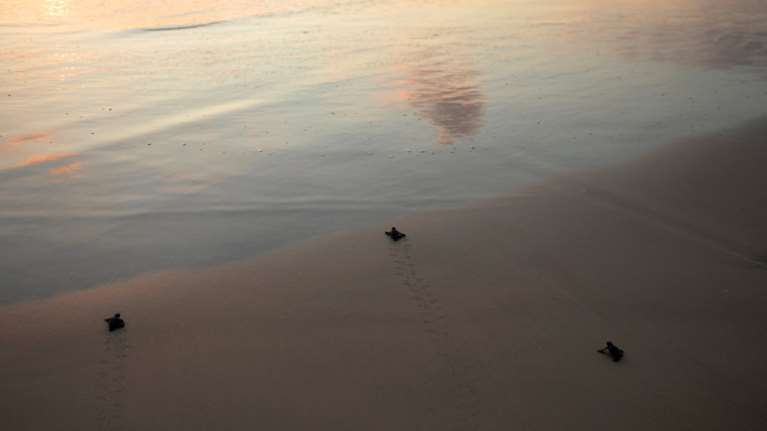 Η κλιματική αλλαγή πλήττει ιδιαίτερα τη Μεσόγειο