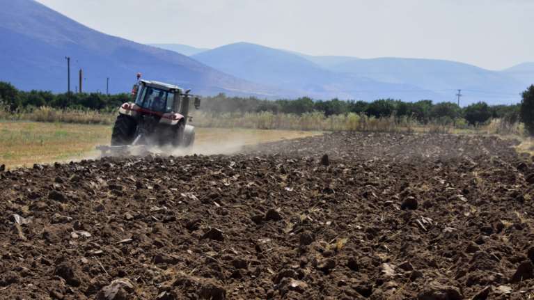 Λάρισα: Σημαντικό αρχαιολογικό εύρημα  εντοπίστηκε σε χωράφι